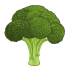 Tender Steam Brocoli